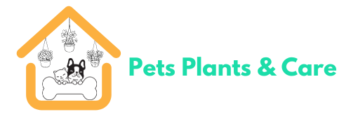 Pets Plants & Care: Your Go-To Guide for Pet and Home Care Solutions